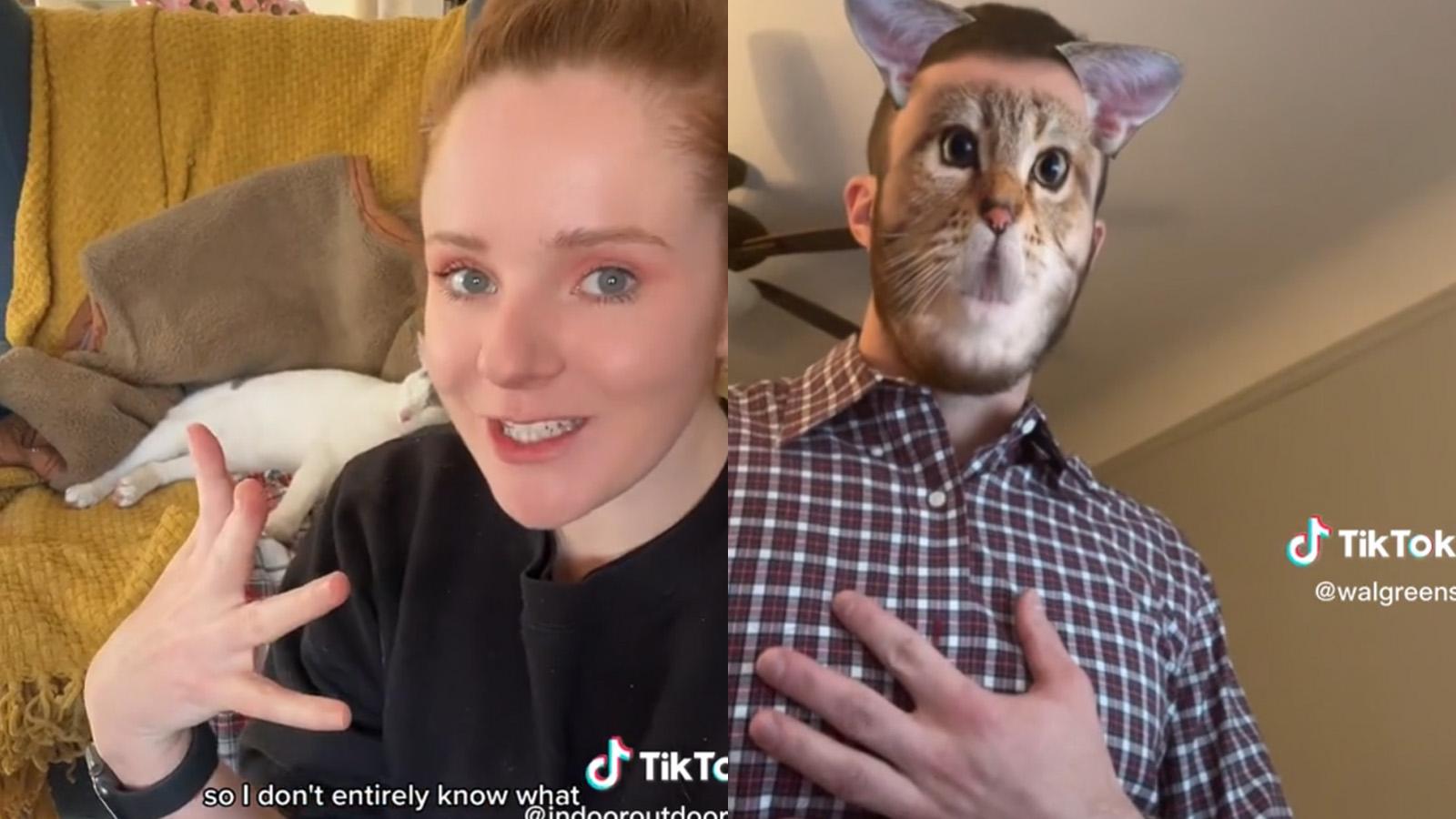 TikTok Indooroutdoorkat