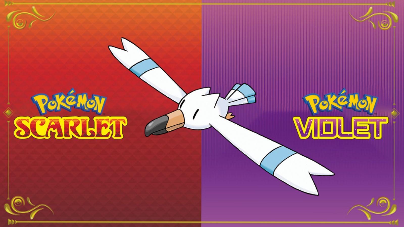 pokemon scarlet violet wingull header