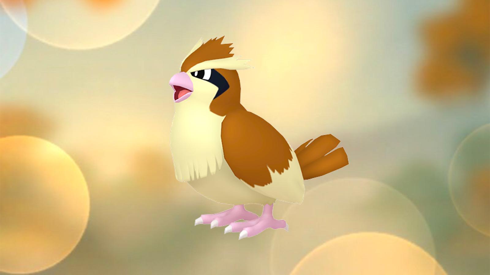 Pidgey in the Pokemon Go Spotlight Hour