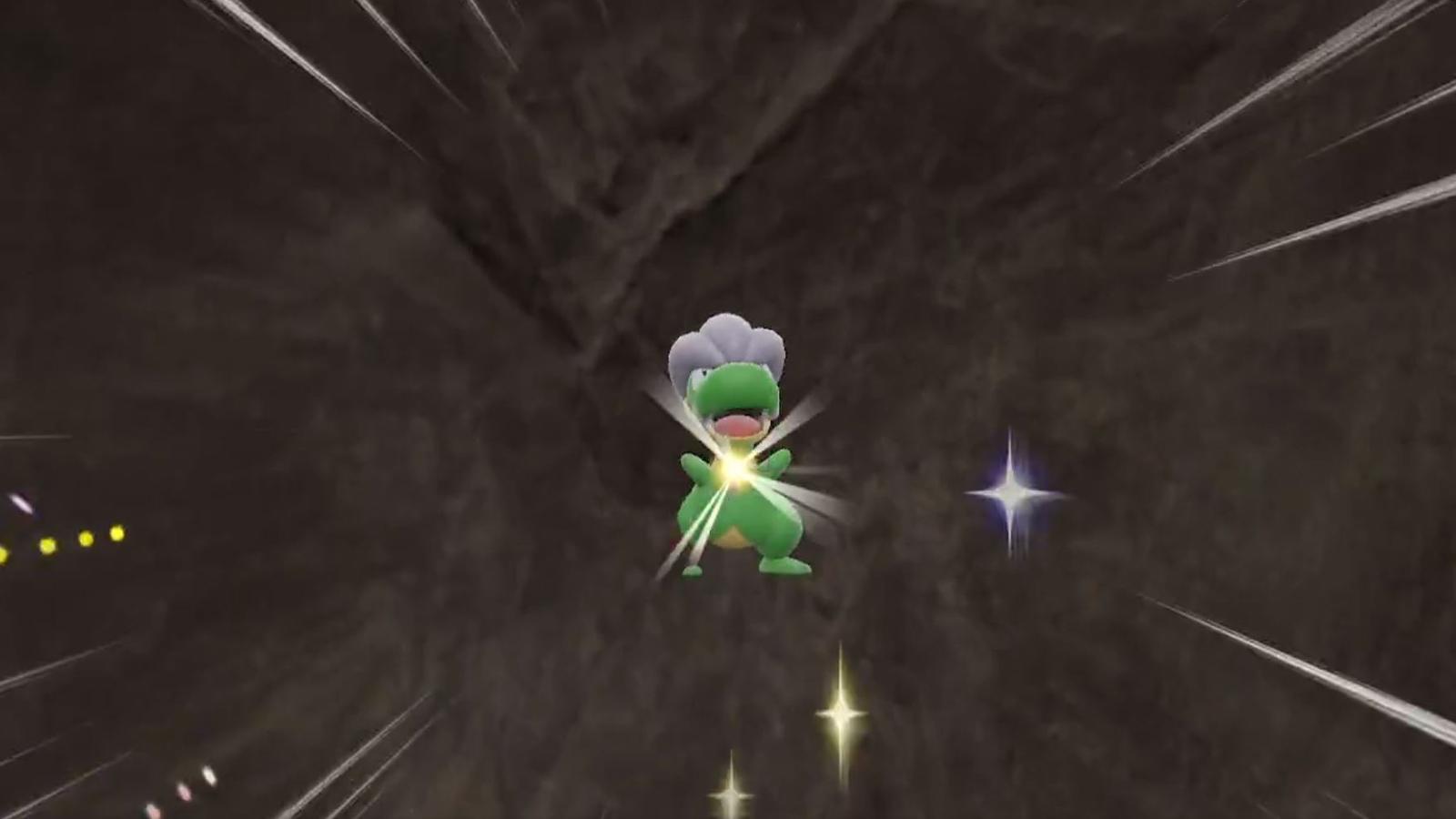 shiny bagon in wall