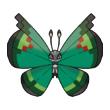 garden vivillon