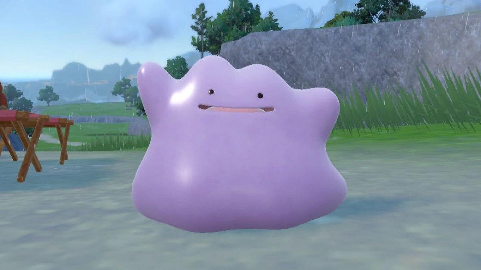 Pokemon Scarlet Violet Shiny Ditto