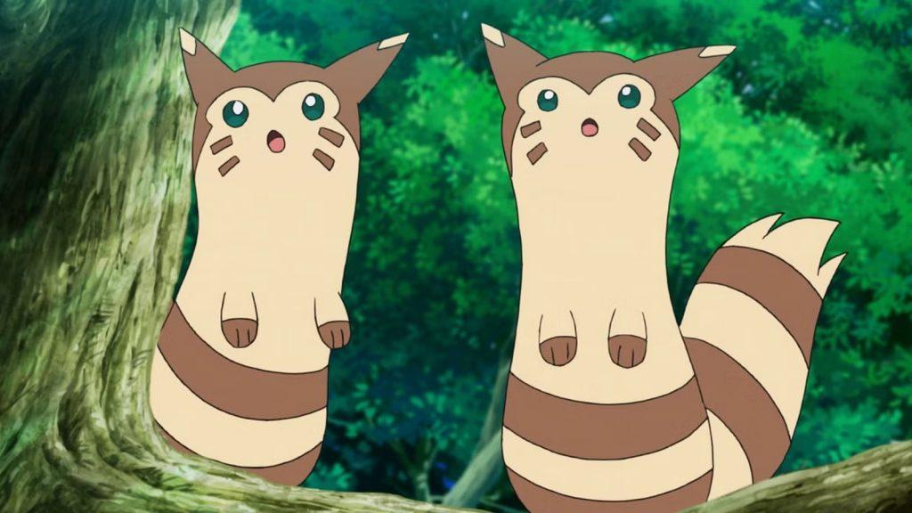 pokemon furret