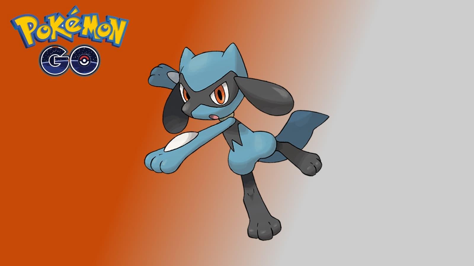 Riolu from Pokemon Go