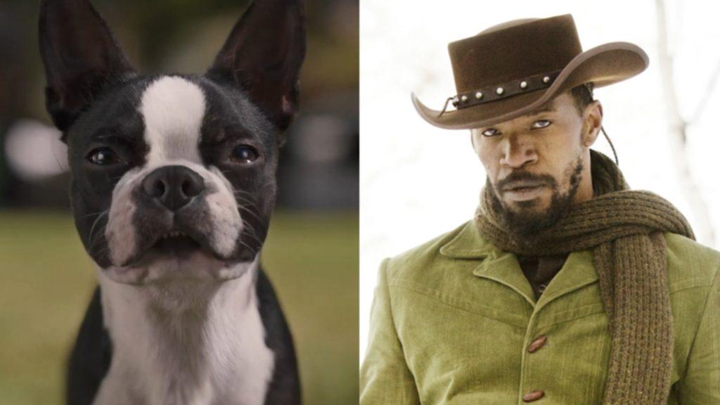 Still from Strays and Jamie Foxx in Django