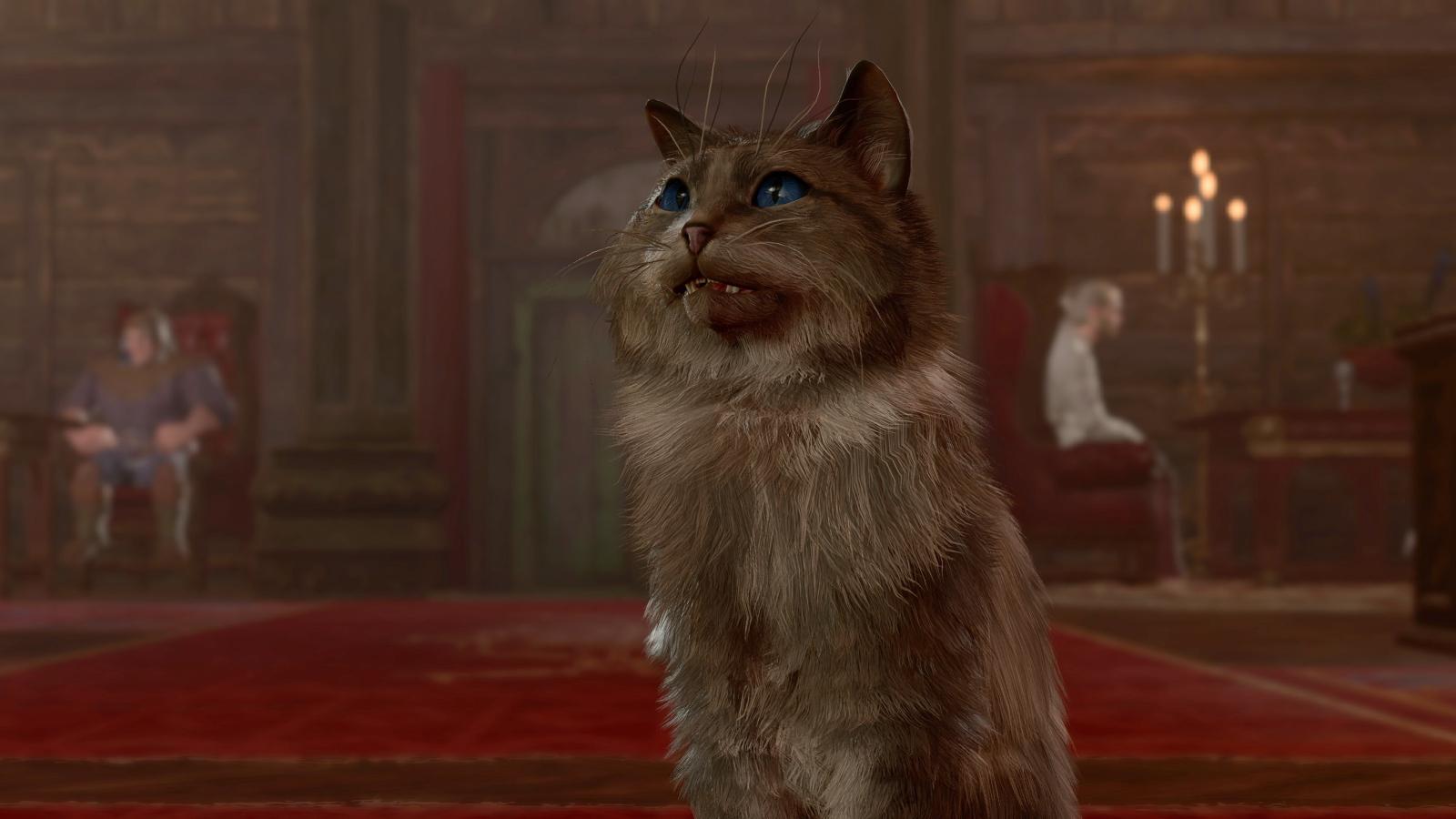 A cat in Baldur's Gate 3