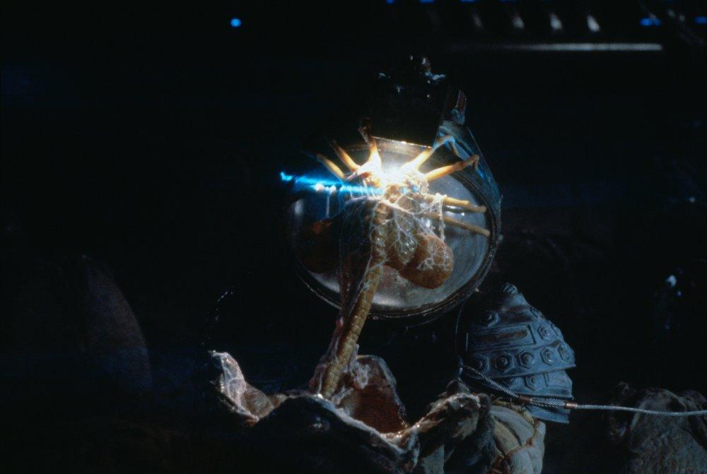 A facehugger in Alien