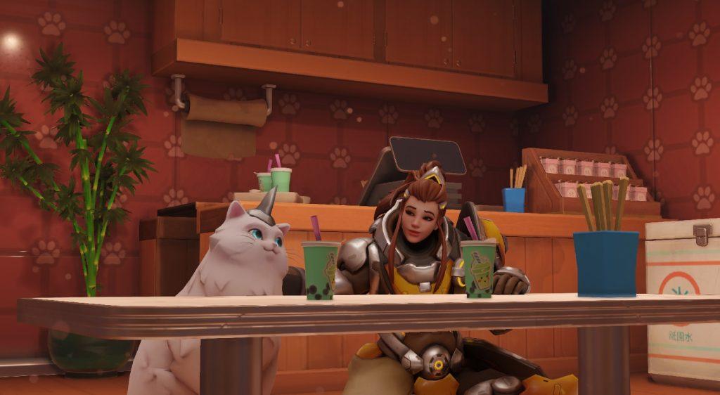 brigitte and overwatch 2 cat