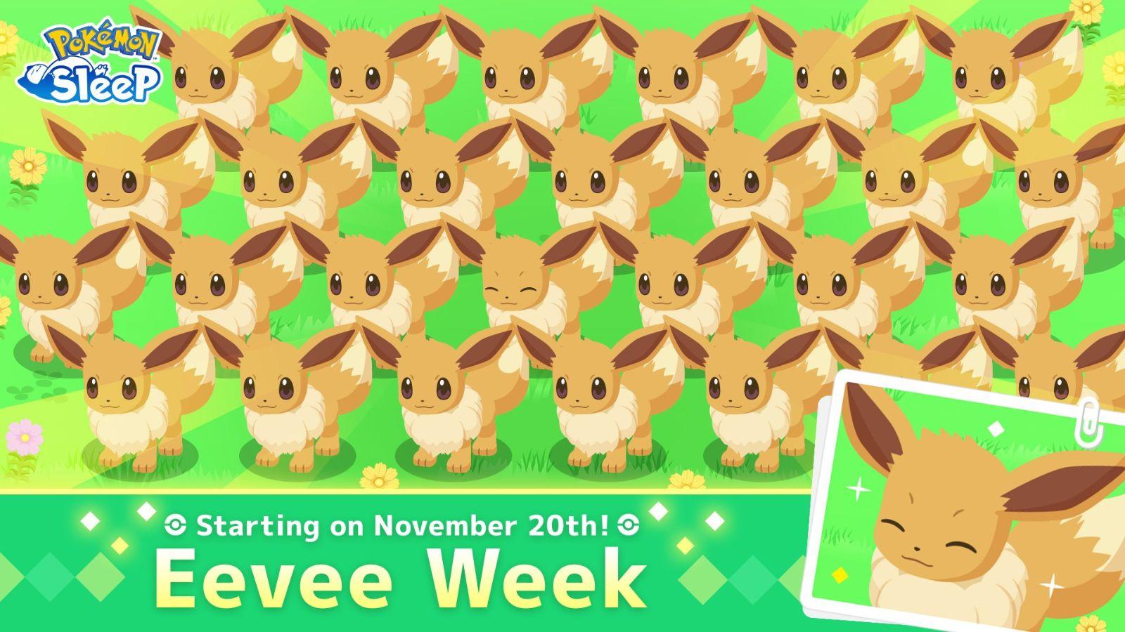 pokemon sleep eevee week