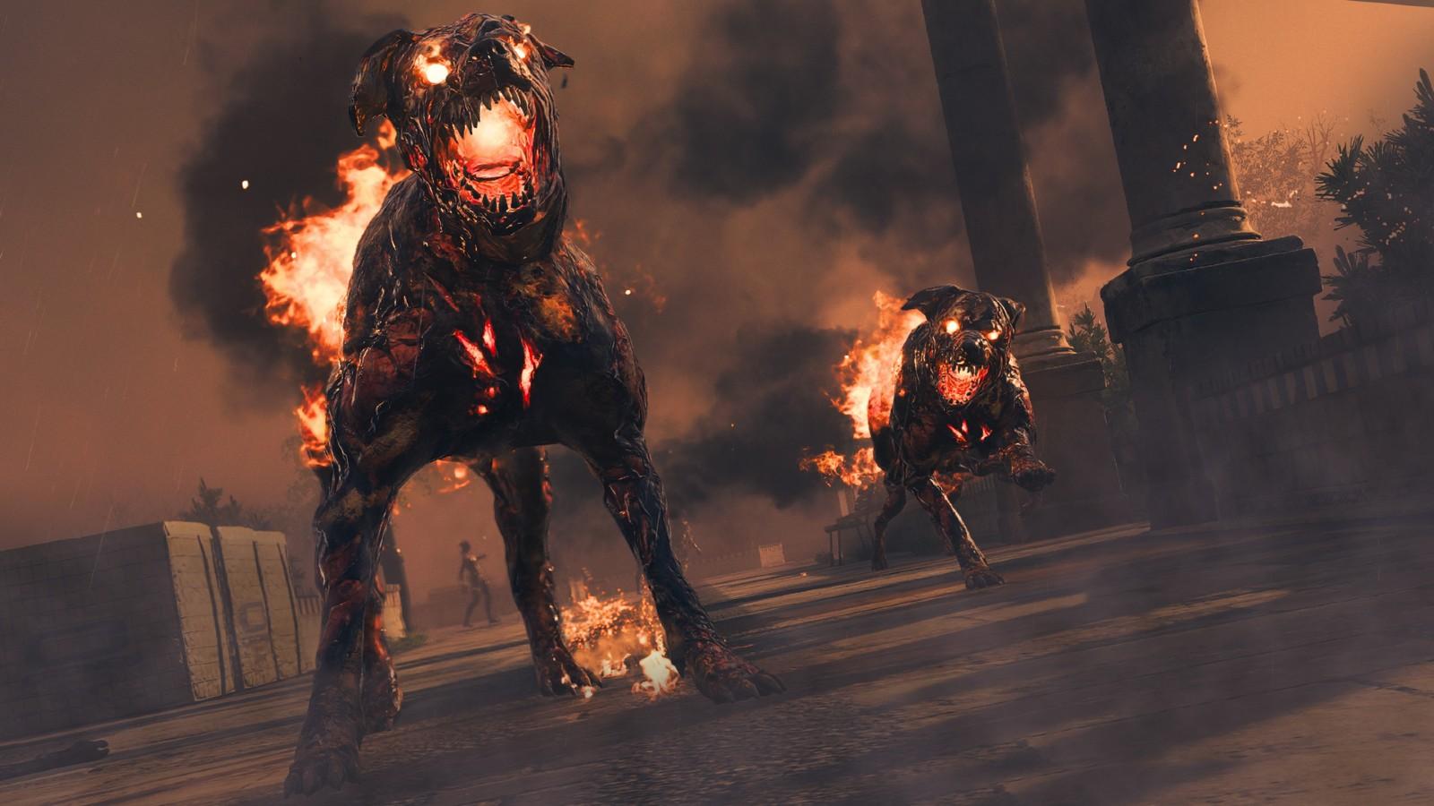 Hellhounds in MW3