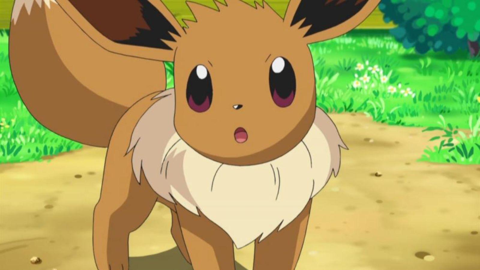 pokemon anime eevee header