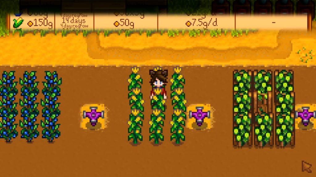 Best Spring Crops in Stardew Valley