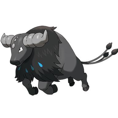 tauros paldean aqua breed