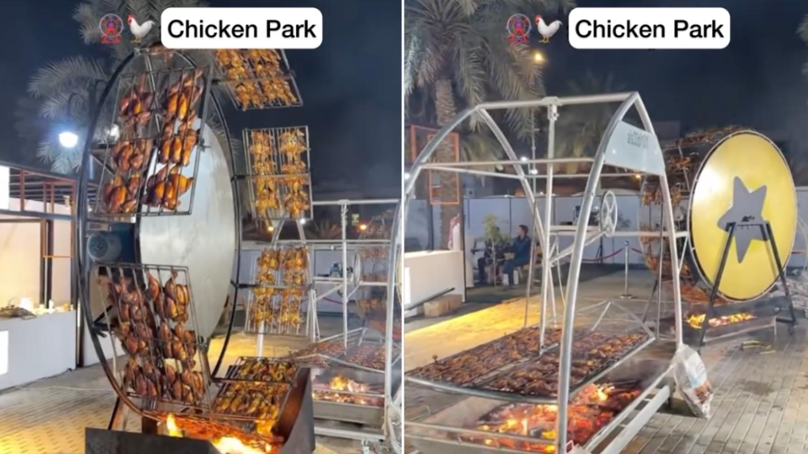 Chicken Ferris Wheel