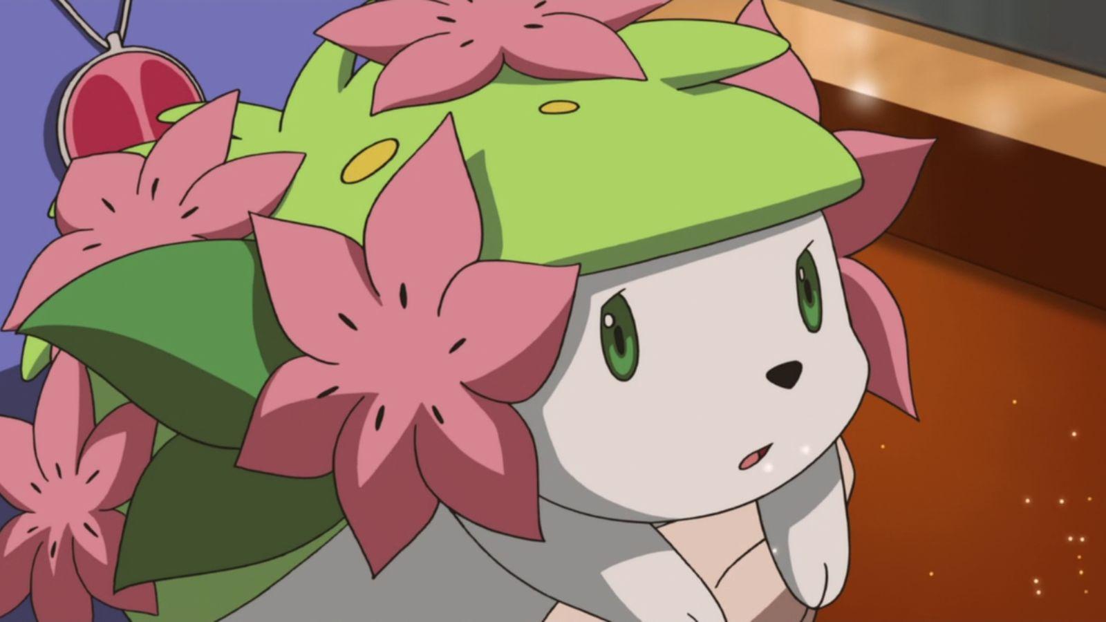 pokemon anime shaymin sad