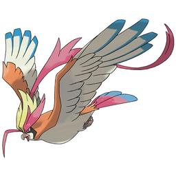 Mega Pidgeot