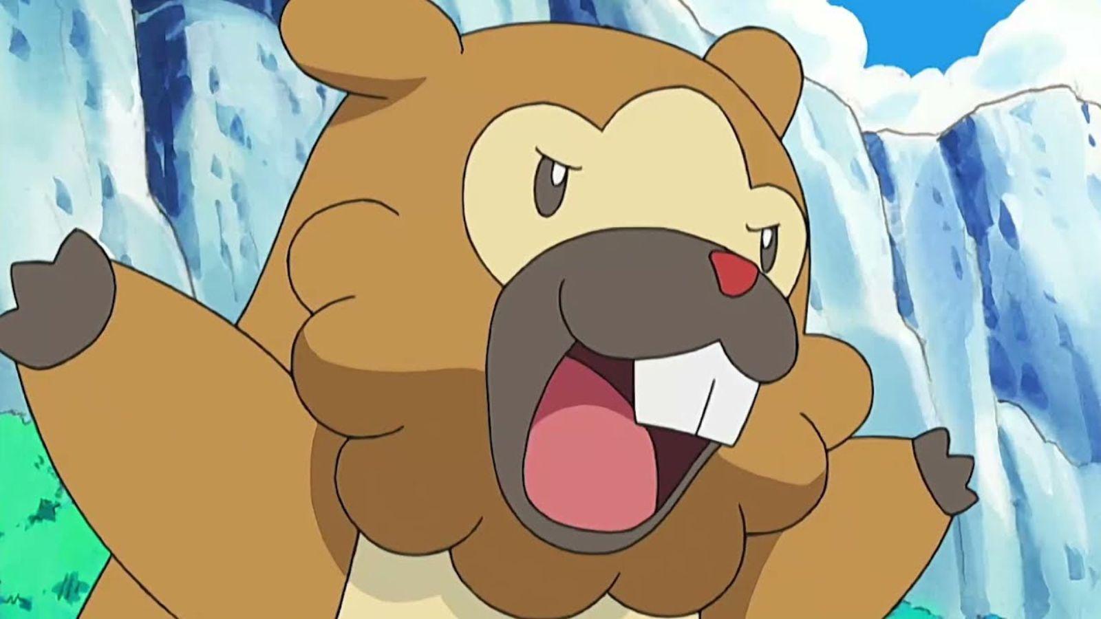 pokemon anime bidoof