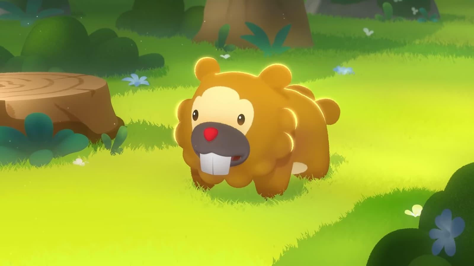 Bidoof Pokemon anime