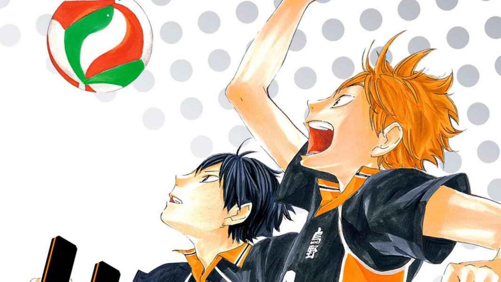 Hinata and Kageyama on Haikyuu!! manga cover