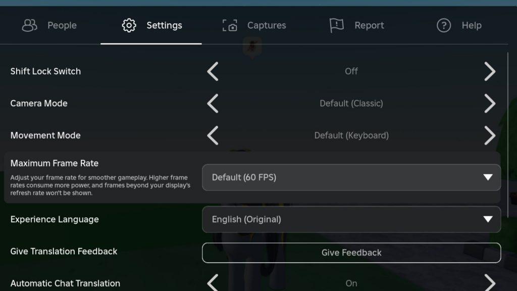 FPS Setting in Roblox