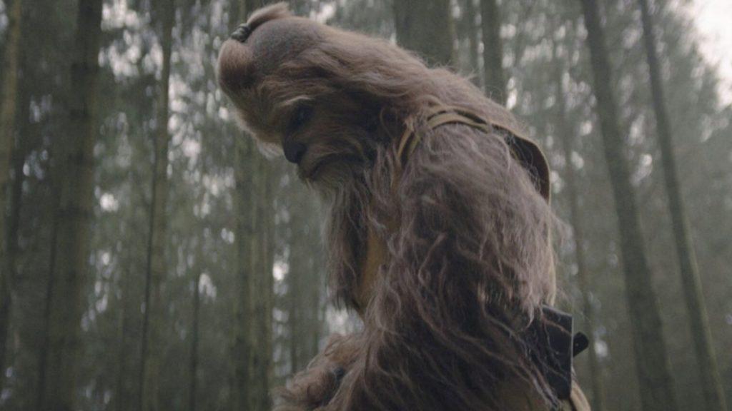 Wookiee Jedi Master Kelnacca in The Acolyte