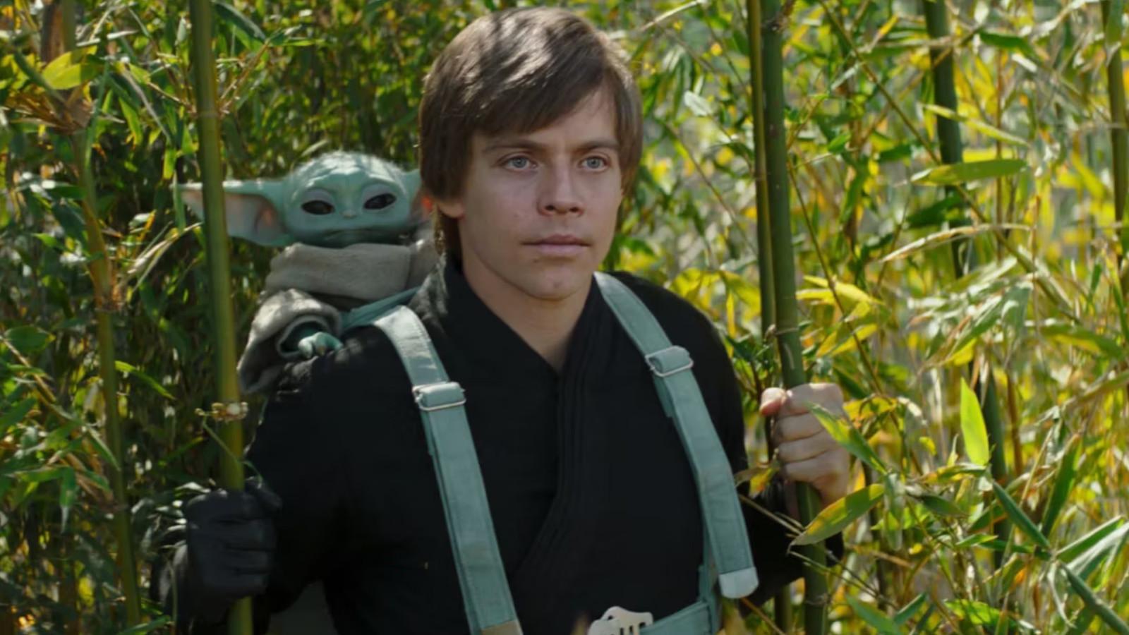 Luke Skywalker in The Book of Boba Fett