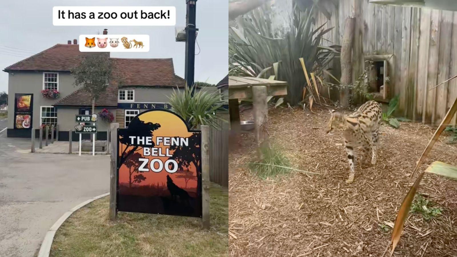 A pub that's also a zoo