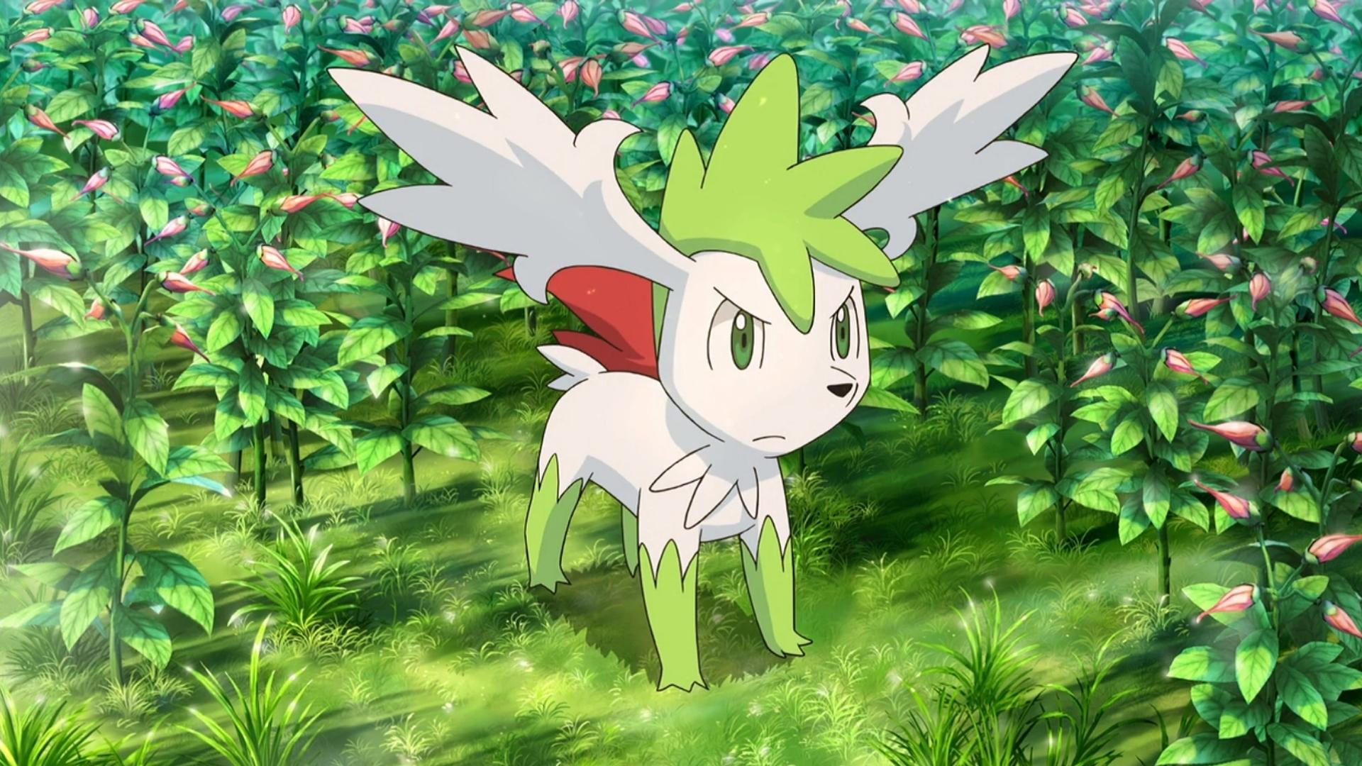 shaymin sky form pokemon dexerto