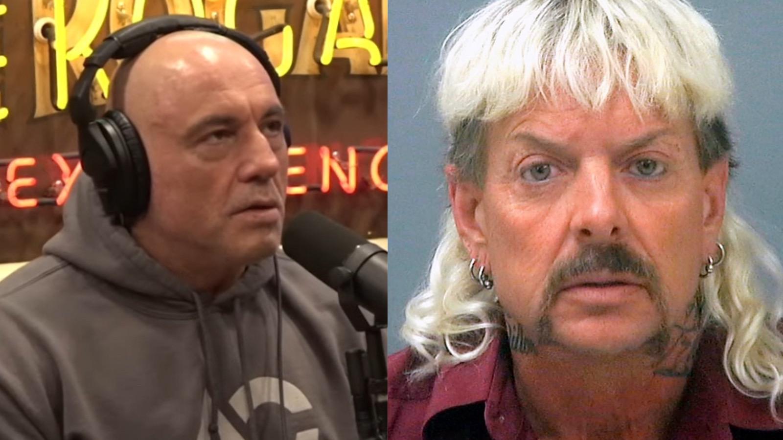 Joe Rogan talks about Joe exotic