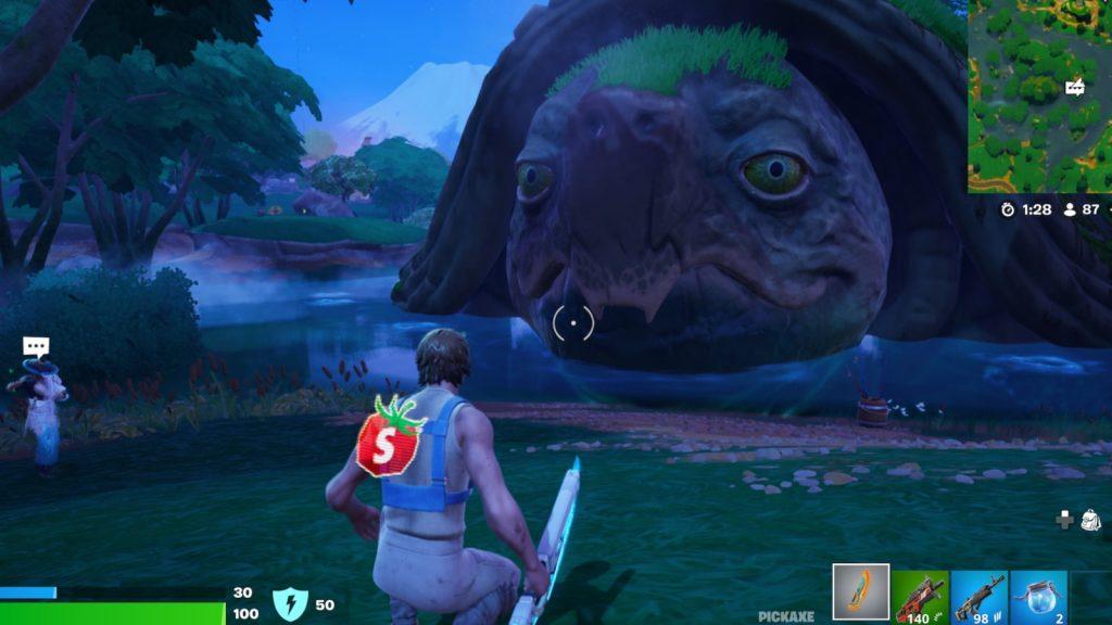 A screenshot featuring the turtle with an NPC nearby in Fortnite.