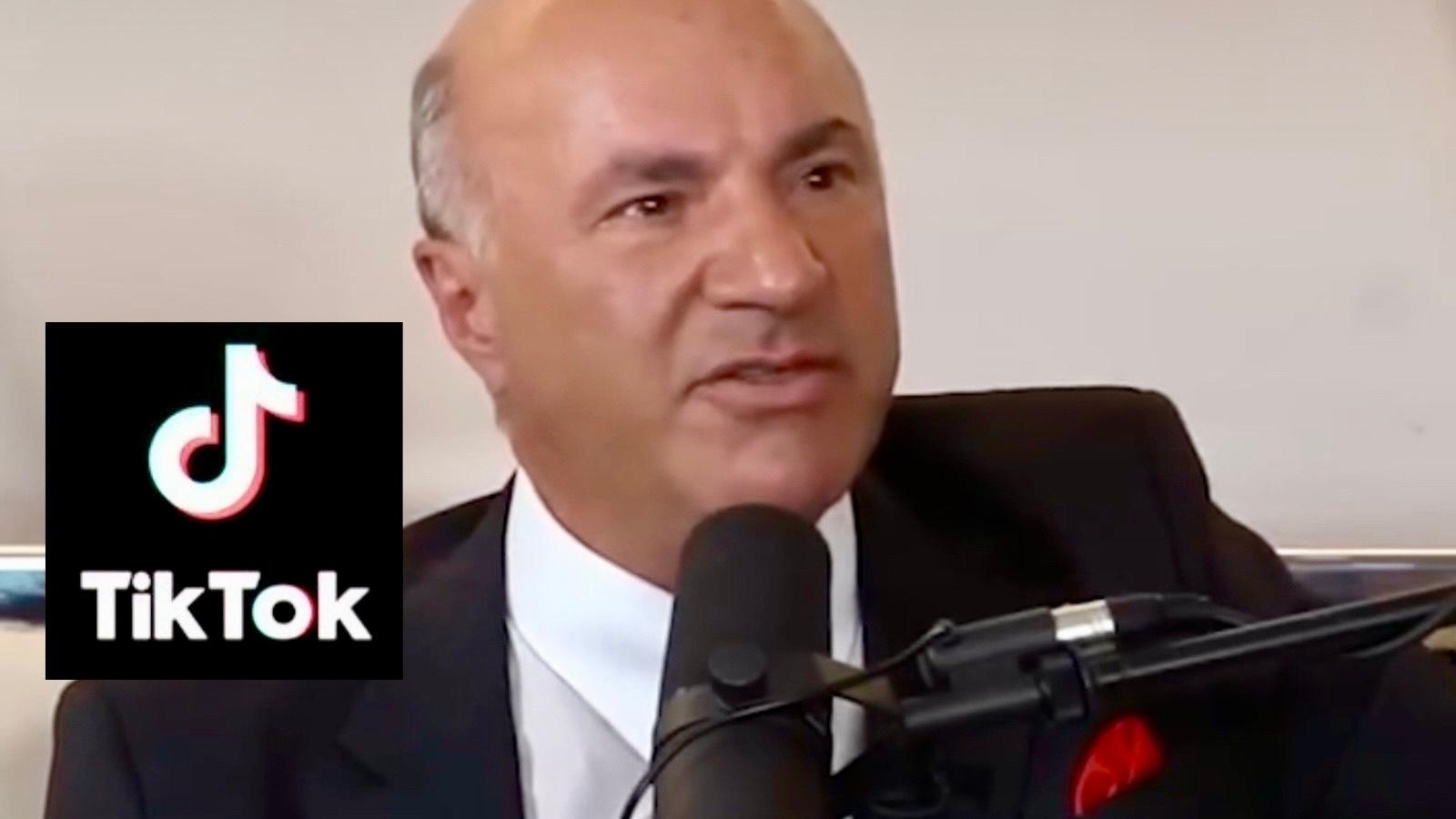 Kevin o'leary might buy tiktok