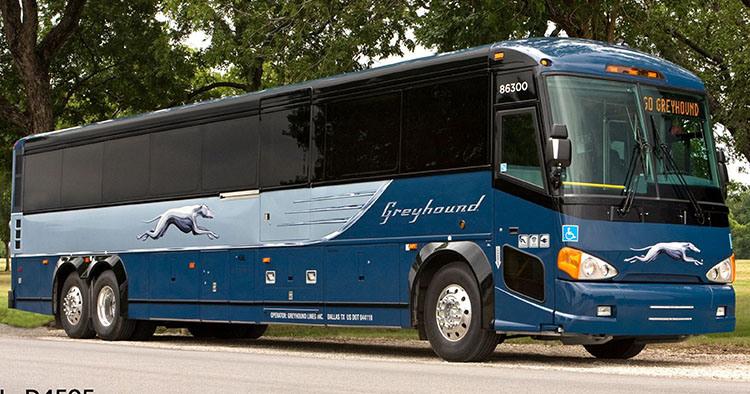 Greyhound