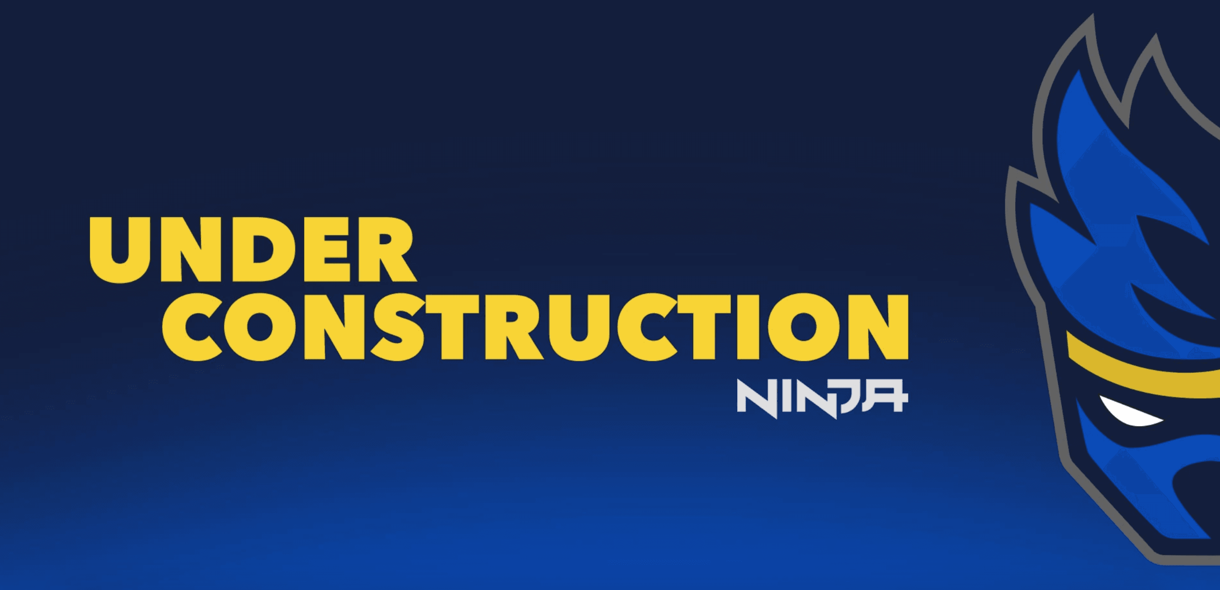 teamninja.com