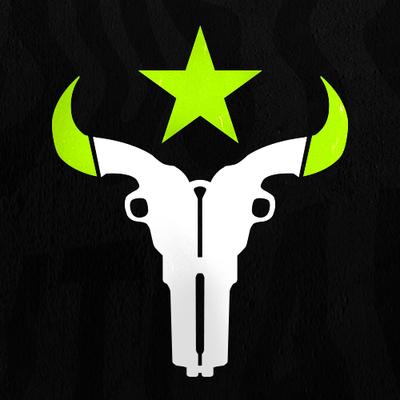 Houston Outlaws